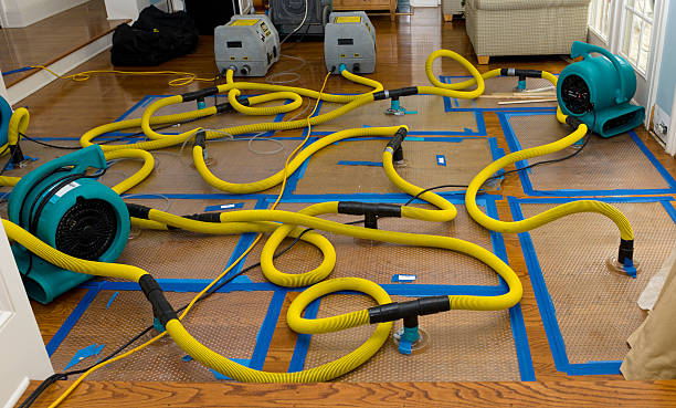 Professional Emergency Water Removal technician working in North Kingsville, OH